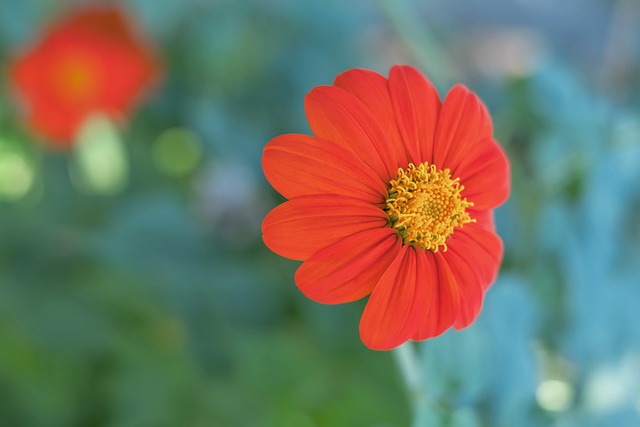 数的胜利 数的胜利