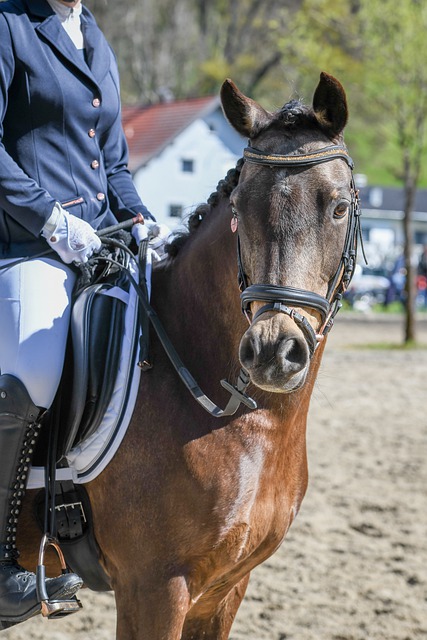 伞带来的 伞带来的