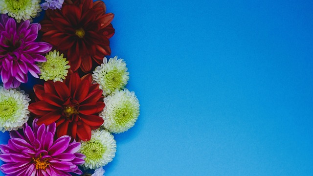 让每一位球 让每一位球