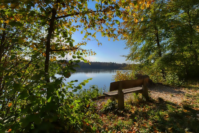 社会责任感 社会责任感